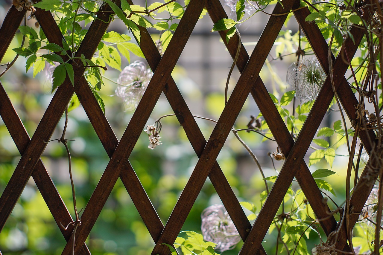 Où installer des plantes chez soi ?